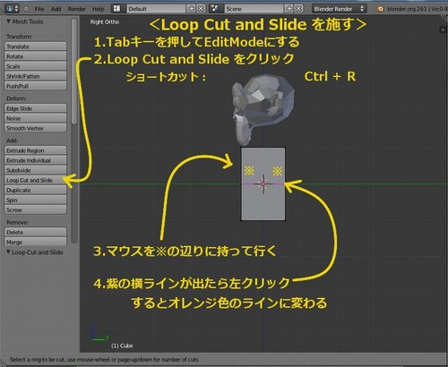 1Loopcut.jpg